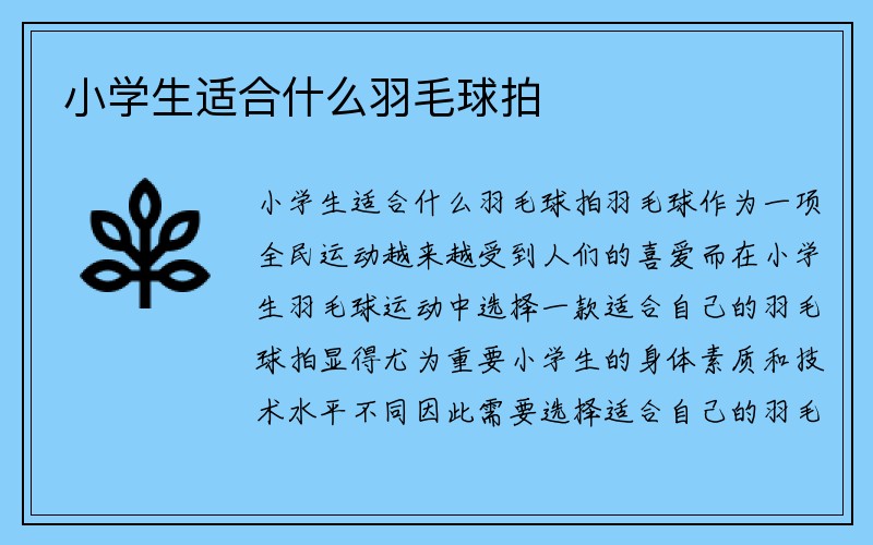 小学生适合什么羽毛球拍