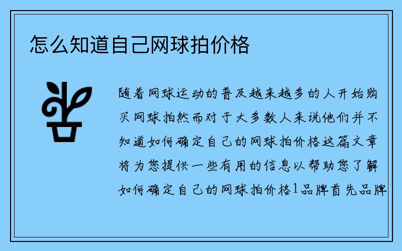 怎么知道自己网球拍价格