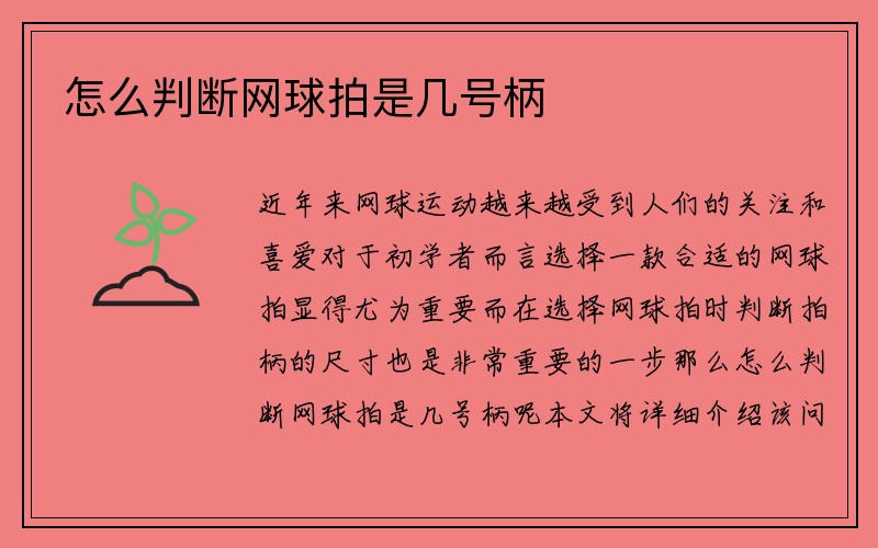 怎么判断网球拍是几号柄