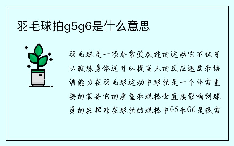 羽毛球拍g5g6是什么意思